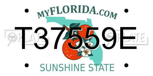 T37559E Florida License Plate