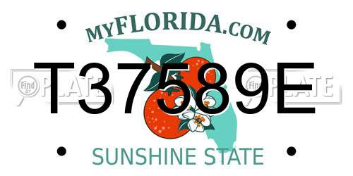 T37589E Florida License Plate