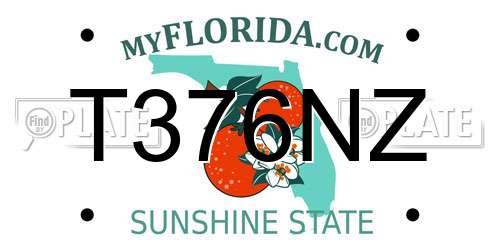 T376NZ Florida License Plate