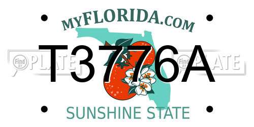 T3776A Florida License Plate