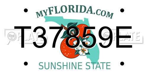 T37859E Florida License Plate