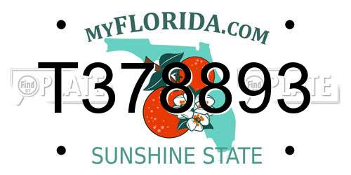 T378893 Florida License Plate
