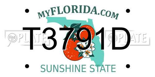 T3791D Florida License Plate