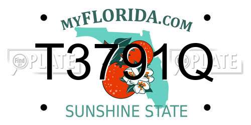 T3791Q Florida License Plate