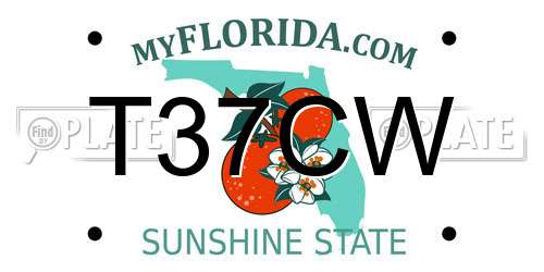 T37CW Florida License Plate