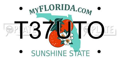 T37UTO Florida License Plate