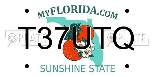 T37UTQ Florida License Plate