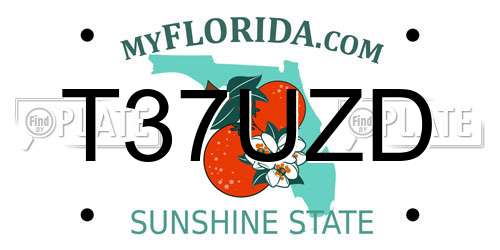 T37UZD Florida License Plate