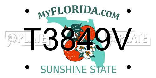 T3849V Florida License Plate