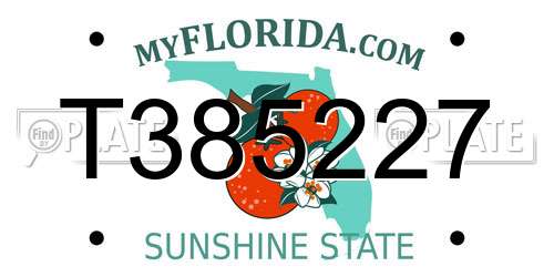 T385227 Florida License Plate
