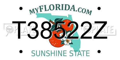 T38522Z Florida License Plate