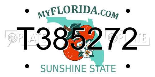 T385272 Florida License Plate