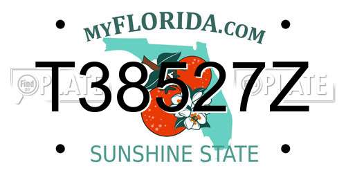 T38527Z Florida License Plate