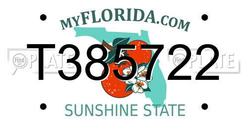 T385722 Florida License Plate