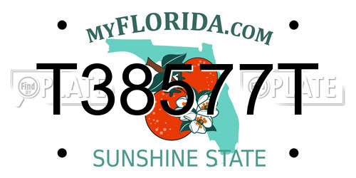 T38577T Florida License Plate