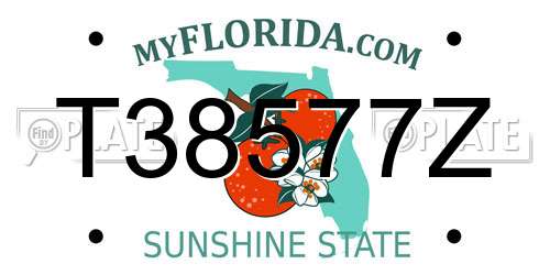 T38577Z Florida License Plate