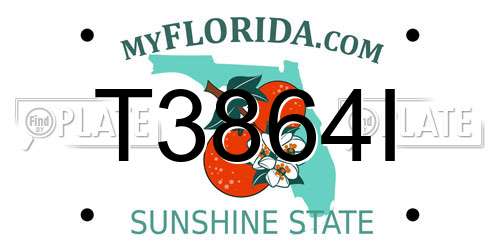 T3864I Florida License Plate