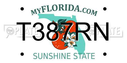 T387RN Florida License Plate