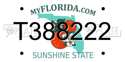 T388222 Florida License Plate