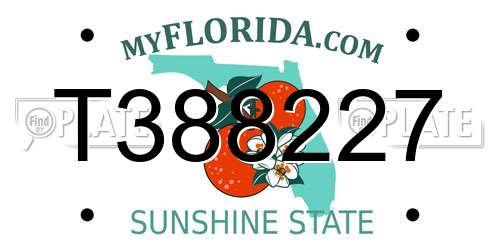 T388227 Florida License Plate