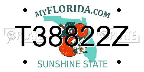 T38822Z Florida License Plate