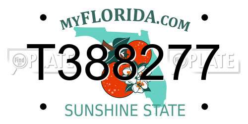 T388277 Florida License Plate