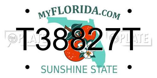 T38827T Florida License Plate