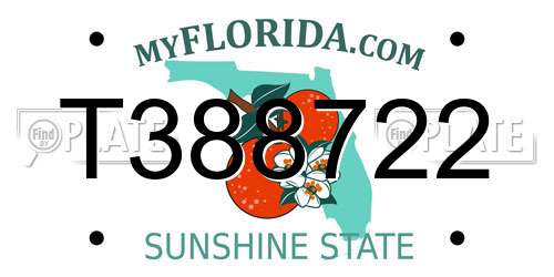 T388722 Florida License Plate