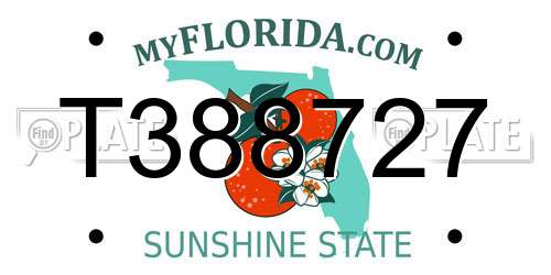 T388727 Florida License Plate
