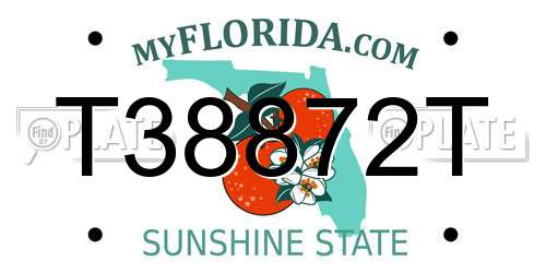 T38872T Florida License Plate