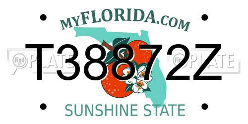 T38872Z Florida License Plate