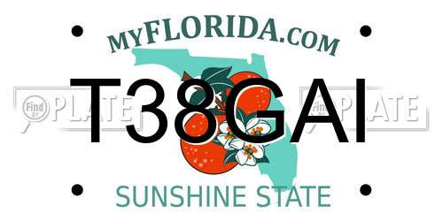 T38GAI Florida License Plate