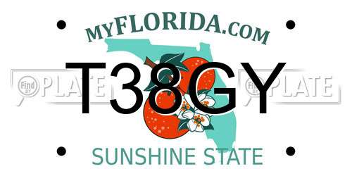 T38GY Florida License Plate