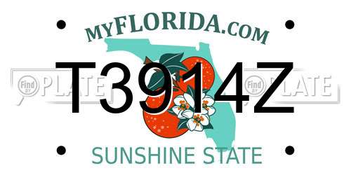 T3914Z Florida License Plate