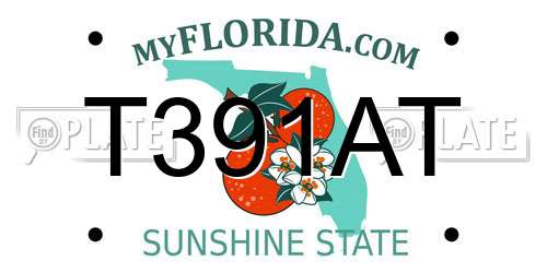 T391AT Florida License Plate