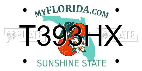 T393HX Florida License Plate