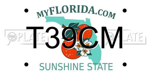 T39CM Florida License Plate