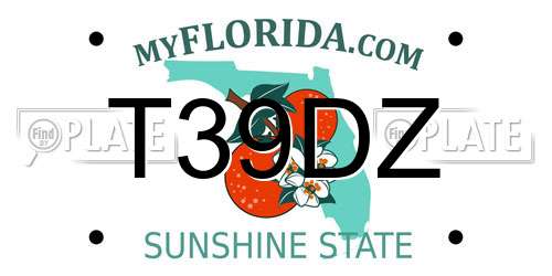 T39DZ Florida License Plate