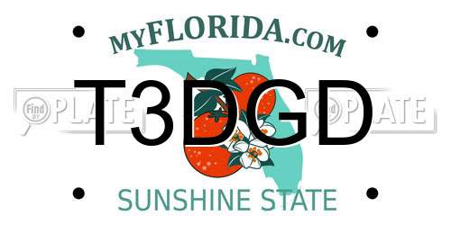 T3DGD Florida License Plate