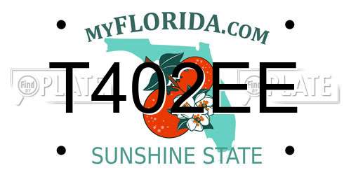 T402EE Florida License Plate
