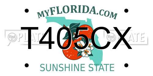 T405CX Florida License Plate