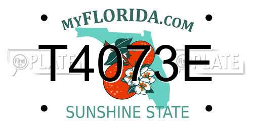 T4073E Florida License Plate