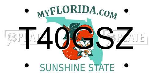 T40GSZ Florida License Plate