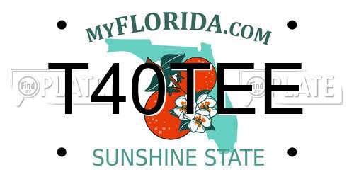 T40TEE Florida License Plate