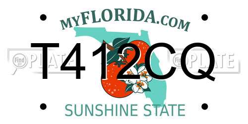 T412CQ Florida License Plate