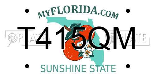 T415QM Florida License Plate