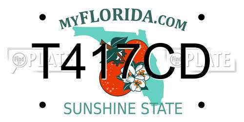 T417CD Florida License Plate