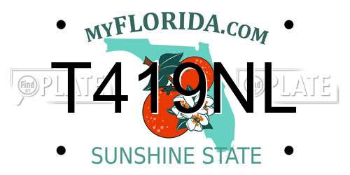 T419NL Florida License Plate
