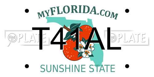 T41AL Florida License Plate