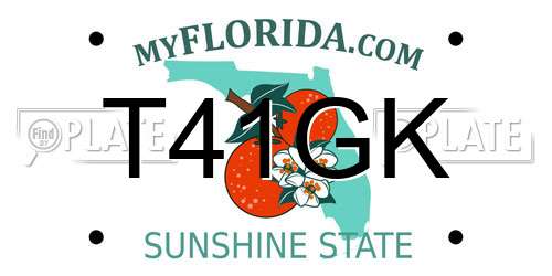 T41GK Florida License Plate